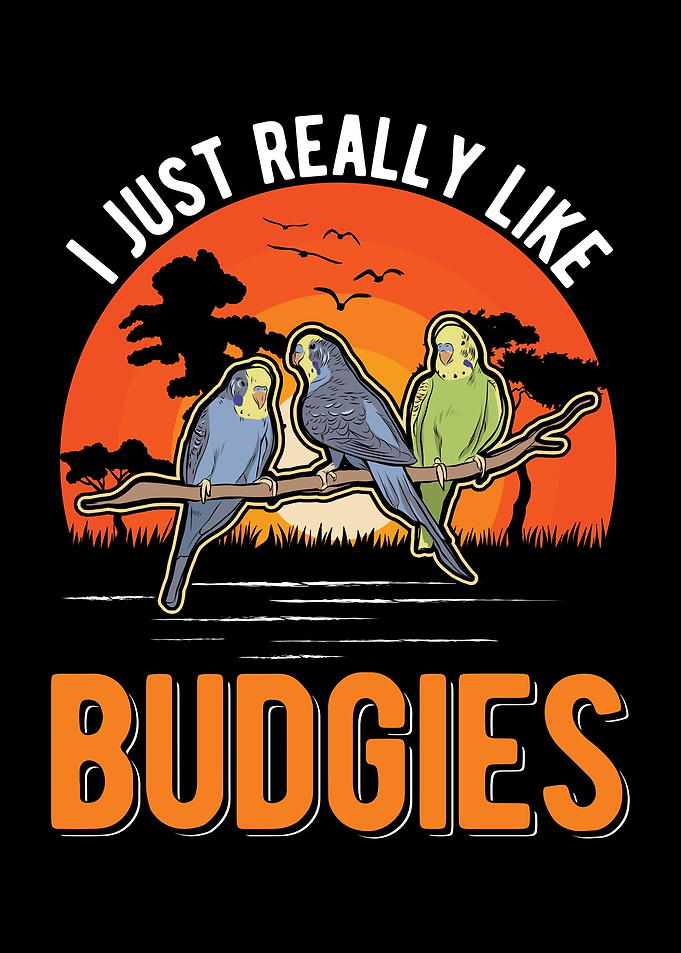 Budgie Gift Parakeet