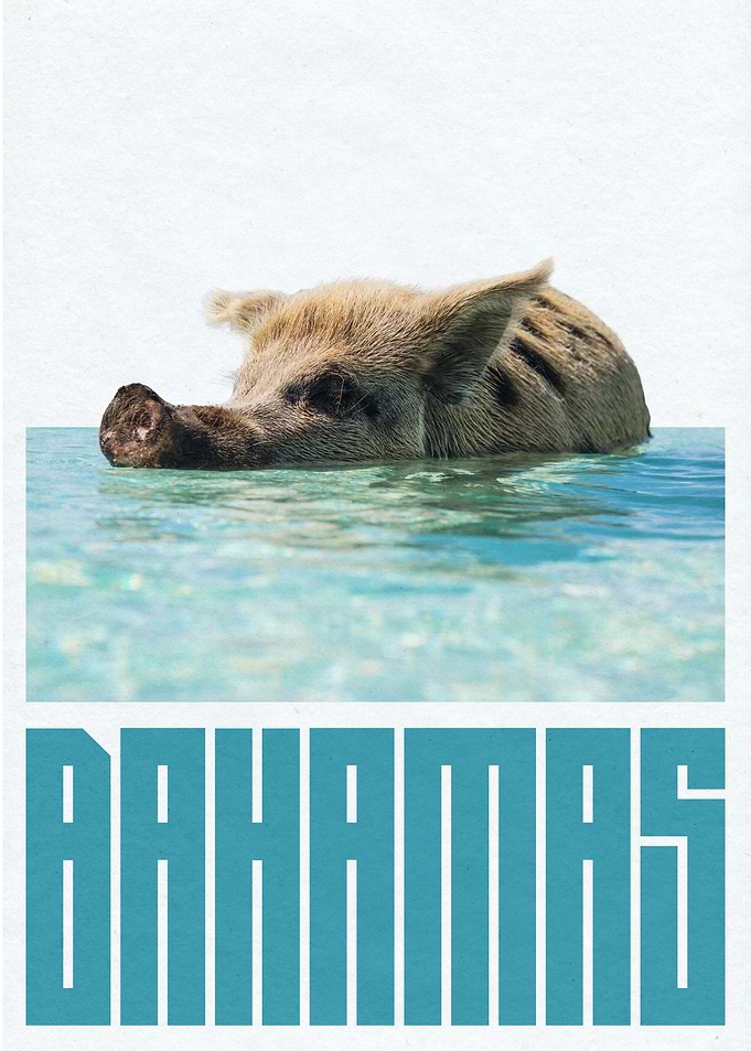 The Bahamas Pig Beach