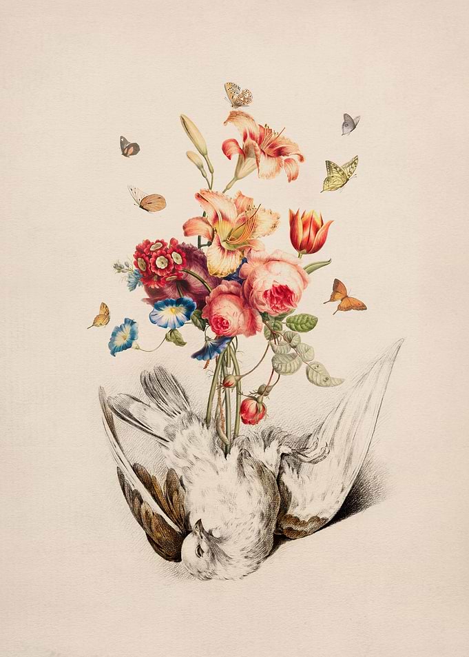Beautiful Decay