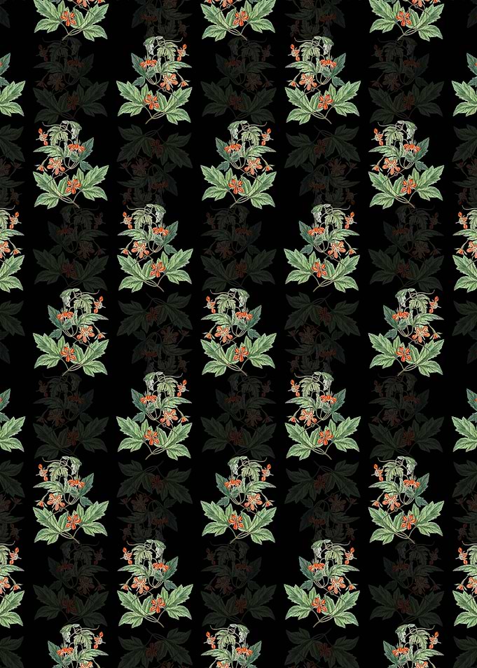 Red Loasa Flower Pattern