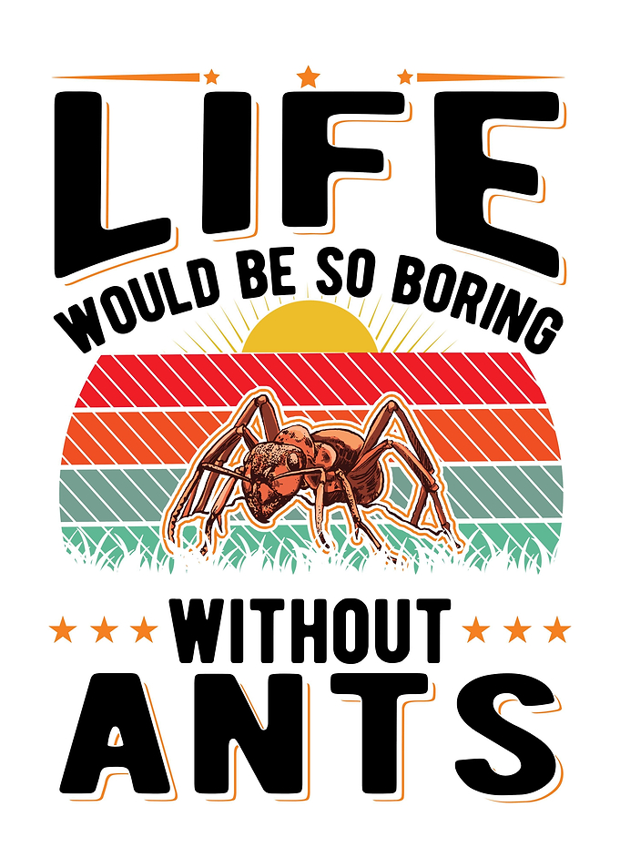 Ant Farm Ant Keeper
