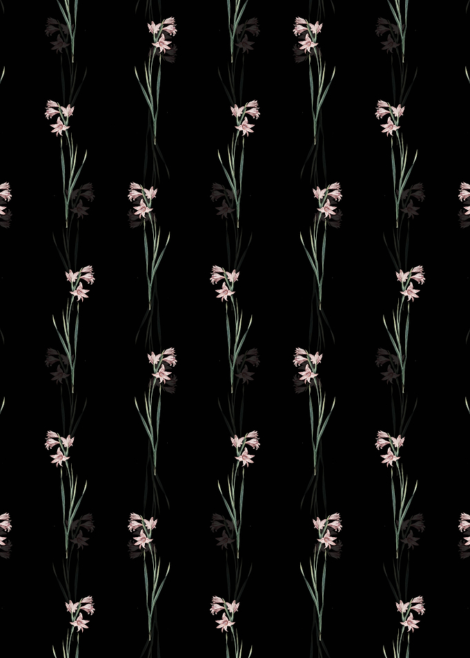 Black Painted Lady Pattern