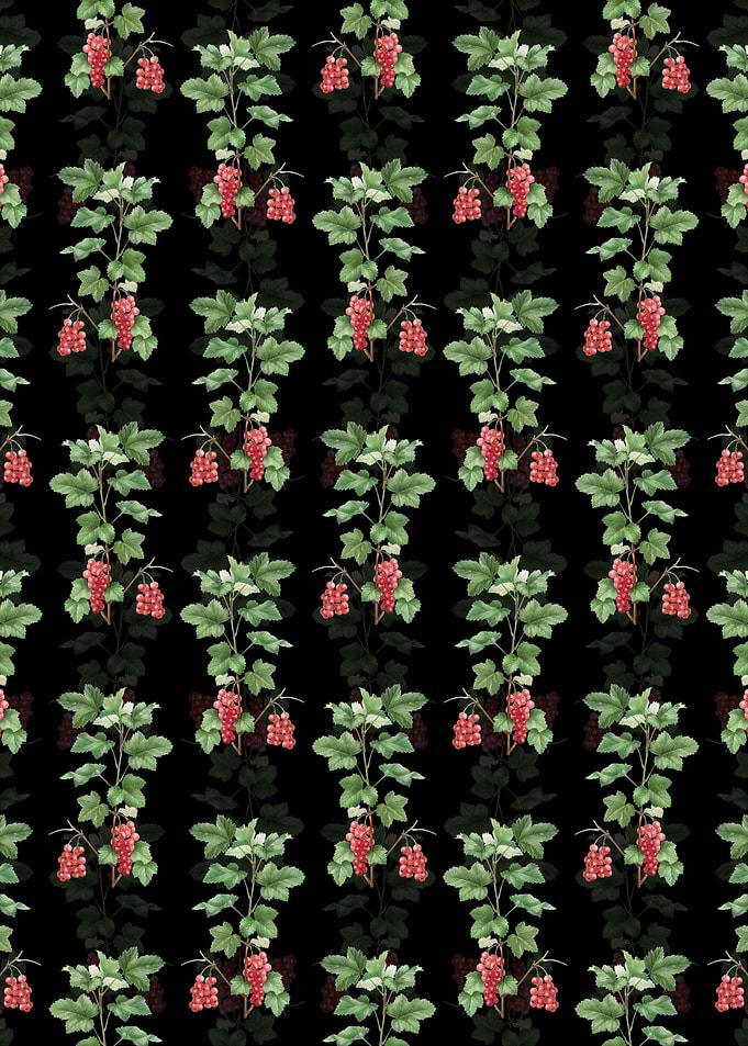 Redcurrant Plant Pattern