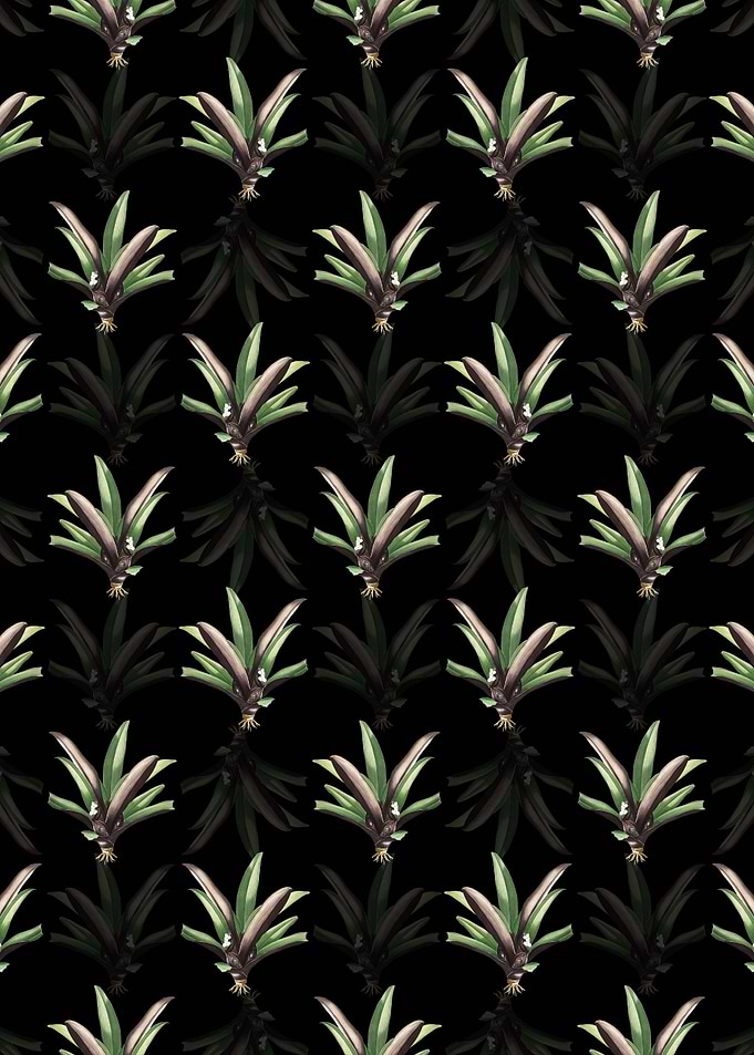 Floral Boat Lily Pattern