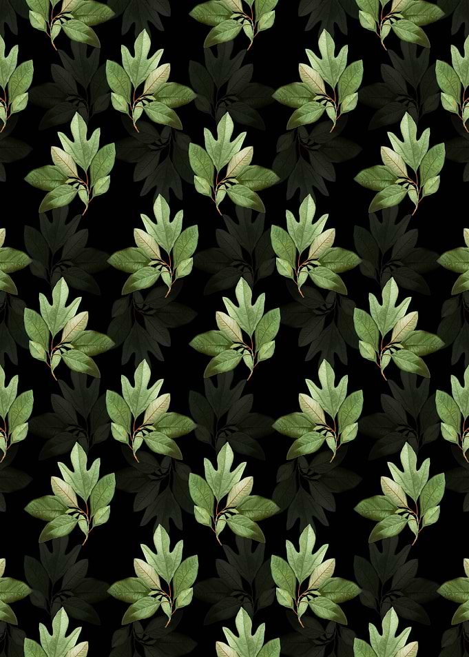 Bay Laurel Branch Pattern
