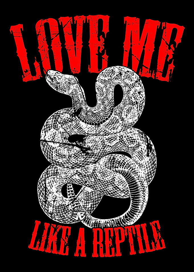 Rattlesnake Reptile