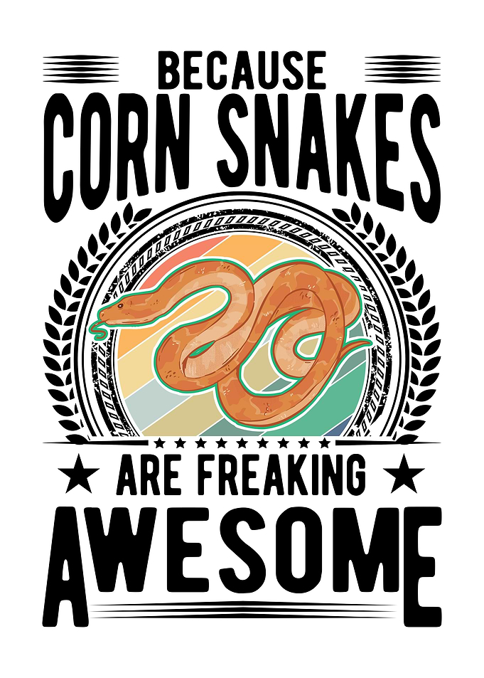 Corn Snake