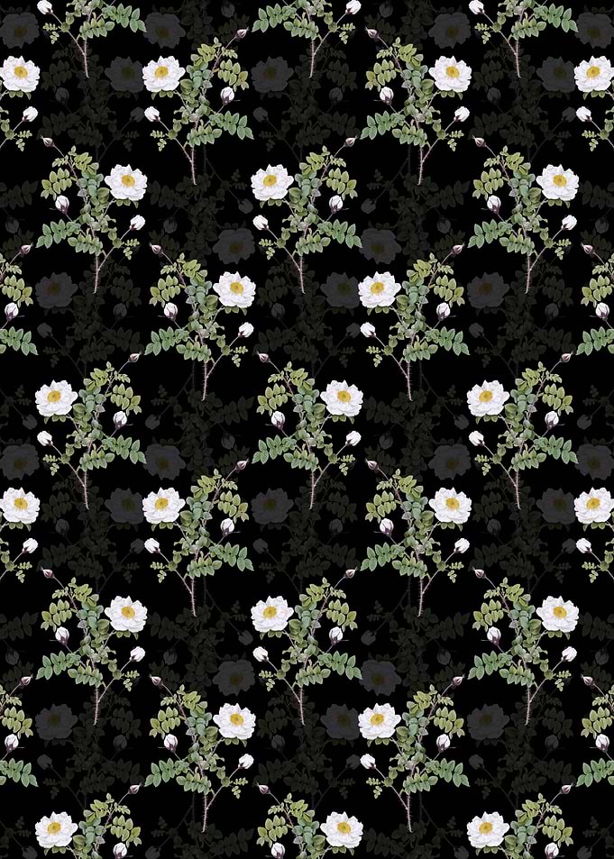 White Burnet Roses Pattern