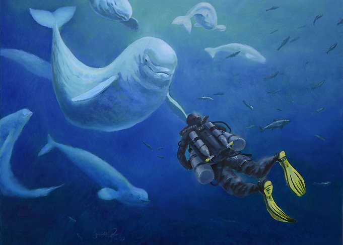 Beluga Encounter