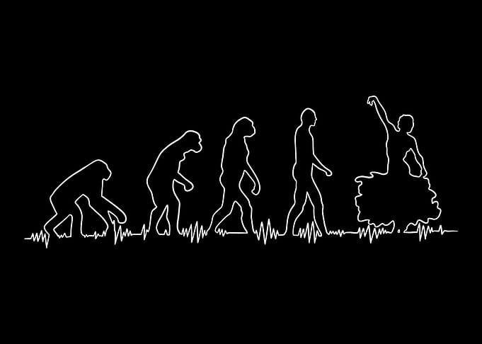 Flamenco Spain Evolution