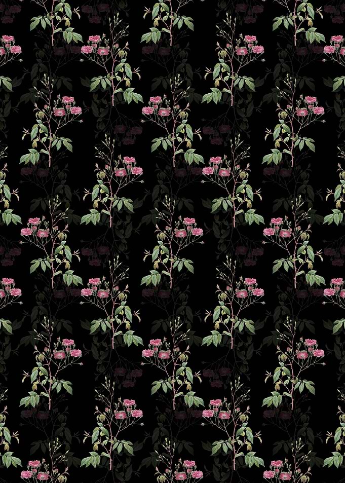 Black Pink Noisette Roses