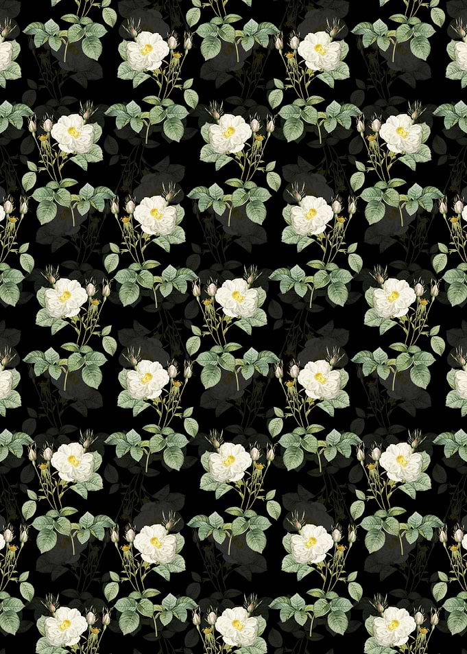 White Rose of York Pattern