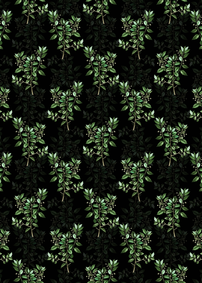 Evergreen Oak Pattern