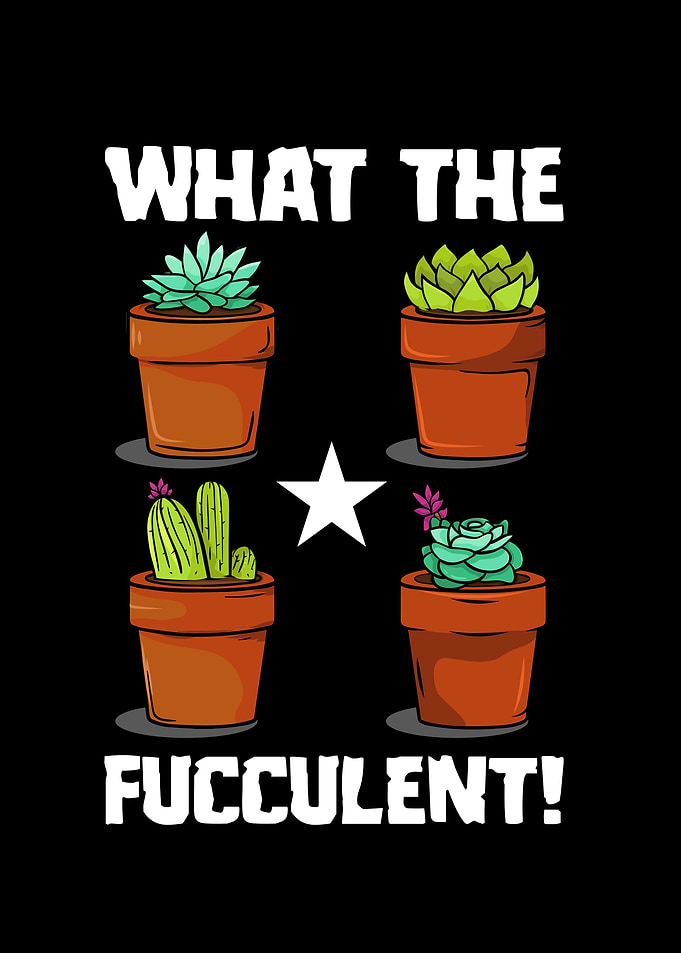 What The Fucculent