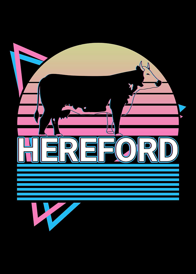 Hereford Cattle