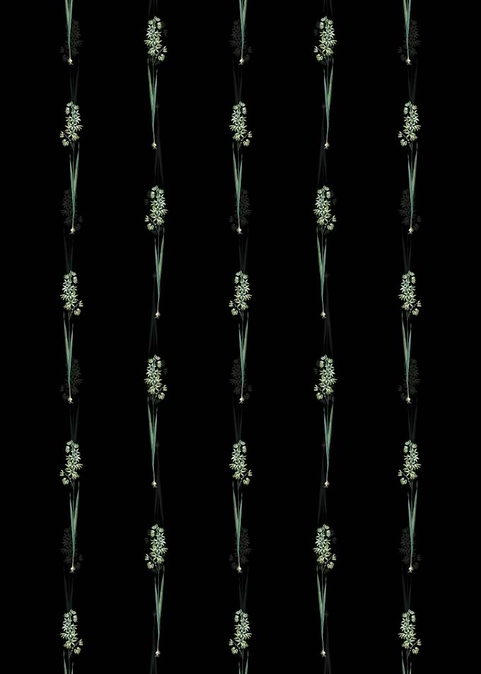Turquoise Ixia Pattern