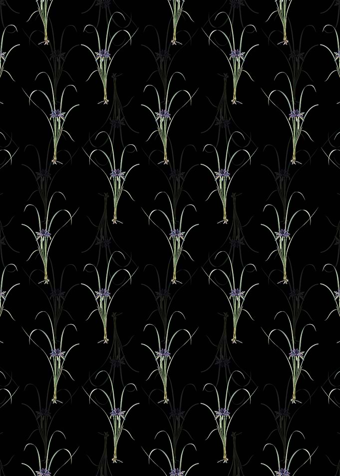 Grass Leaved Iris Pattern