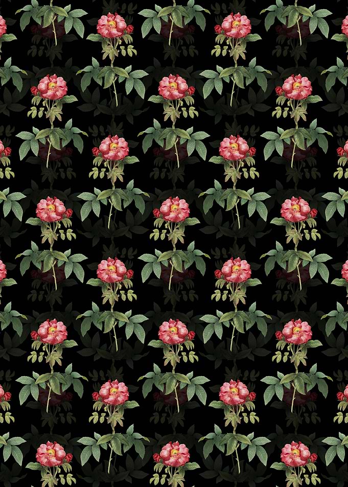 Black Provins Rose Pattern