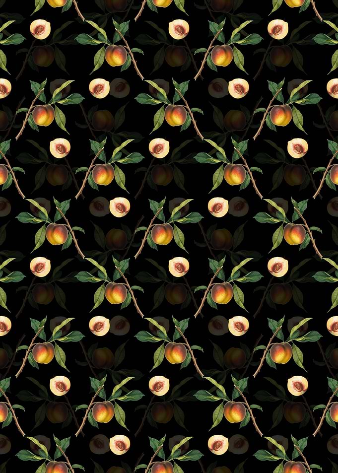Black Floral Peach Pattern