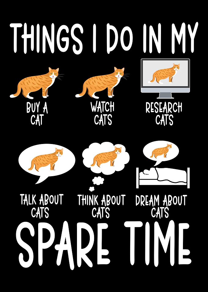 Cat Lady Kitten Humor