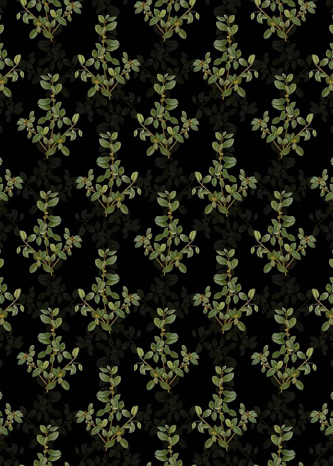 Italian Buckthorn Pattern
