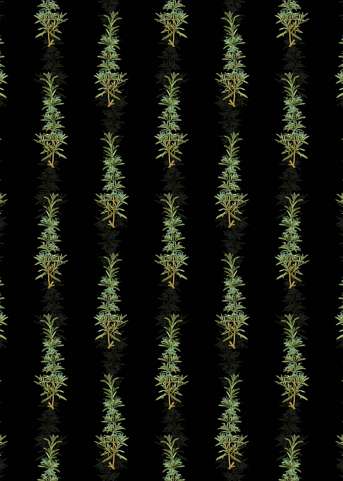 Floral Rosemary Pattern