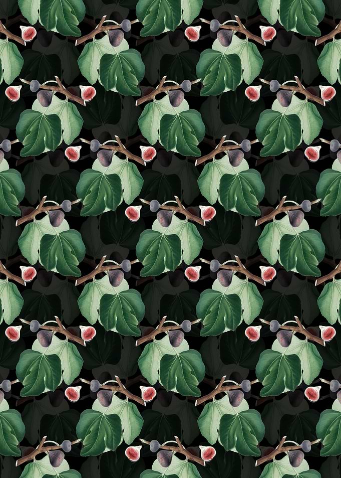 Floral Black Fig Pattern