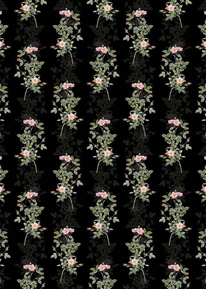 Pink Pompon Rose Pattern