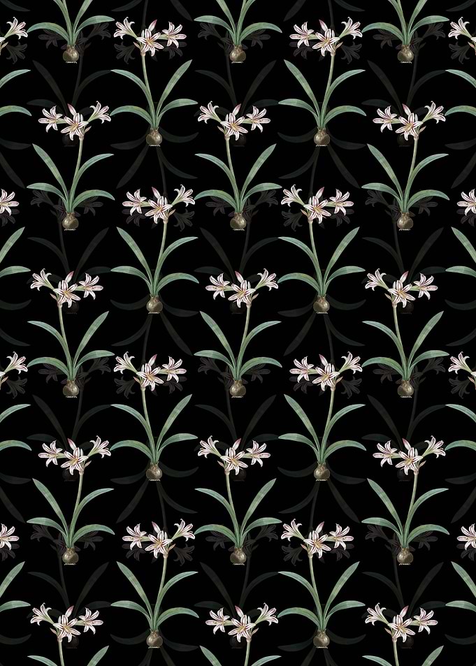 Floral Amaryllis Pattern