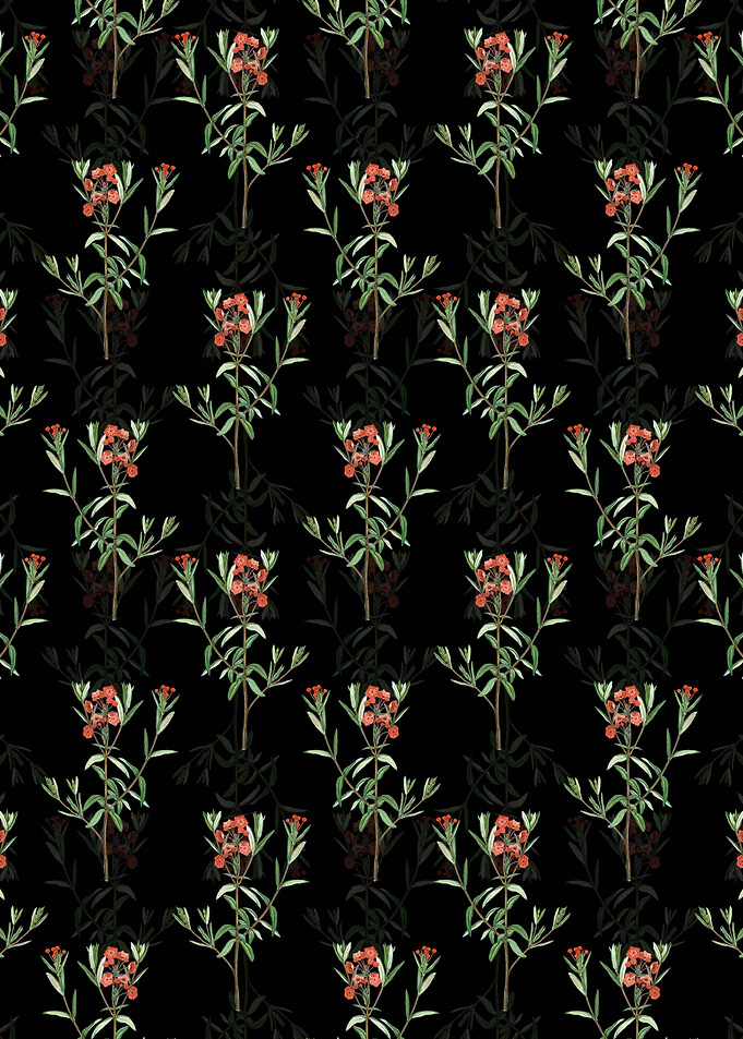 Bog Laurel Bloom Pattern