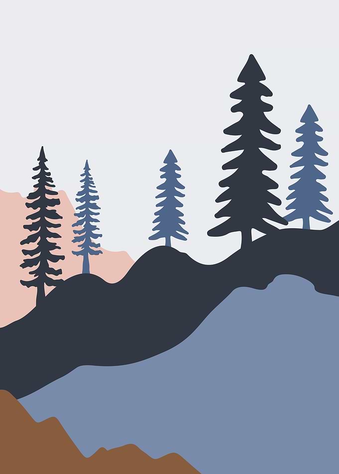 Forest Pine Trees Mountain