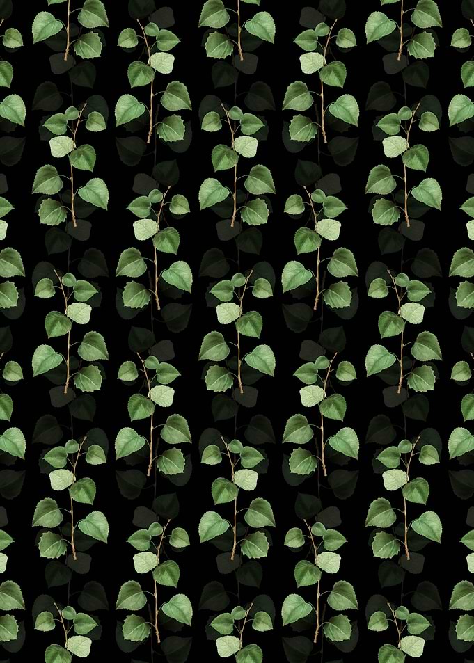 Quaking Aspen Pattern