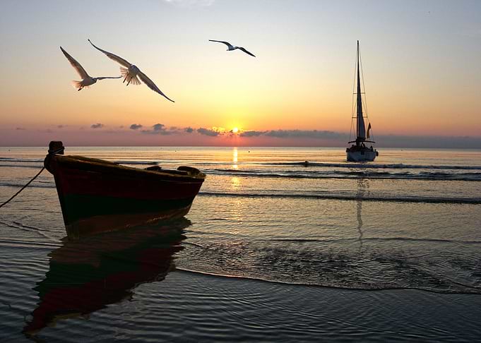 Boat Sailing Boats Ocean
