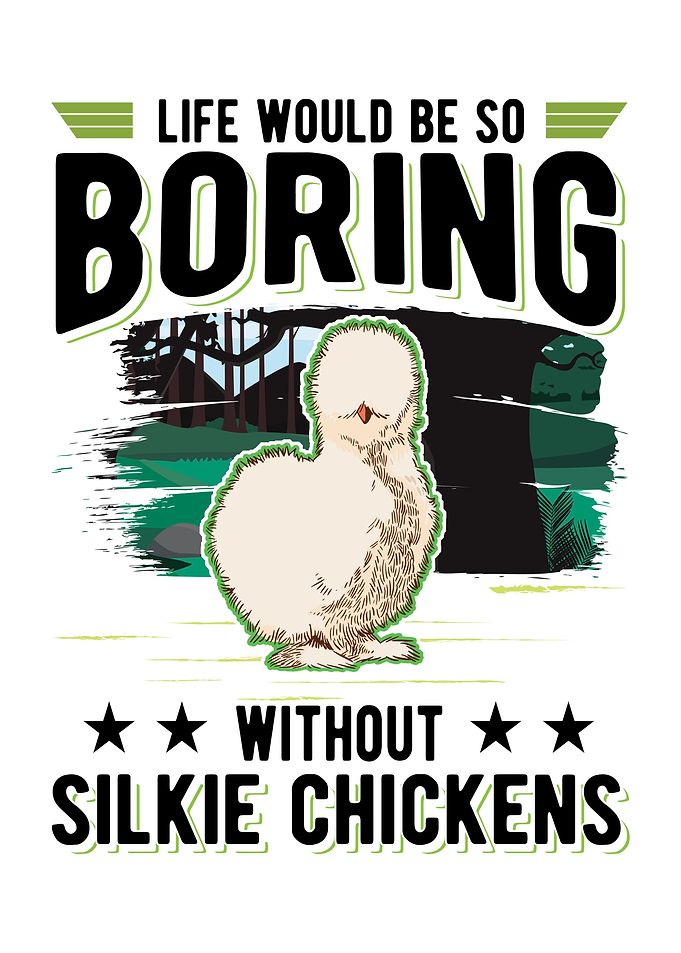 Silkie Chicken