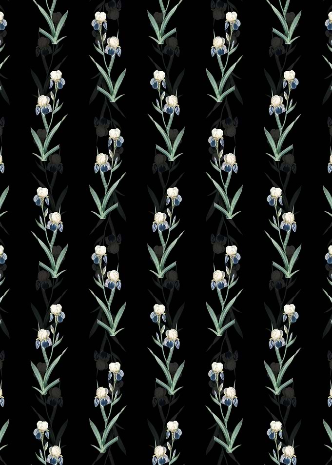 Elder Scented Iris Pattern