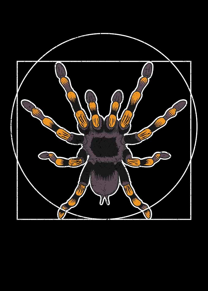 Tarantulas Design Retro