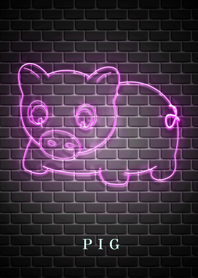 PIG Animal