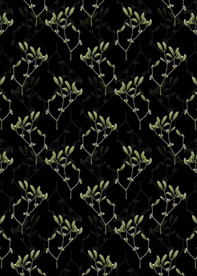 Black Viscum Album Branch