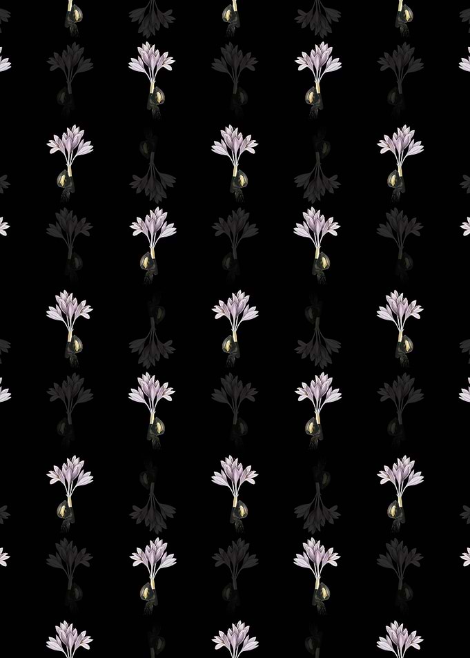 Autumn Crocus Pattern