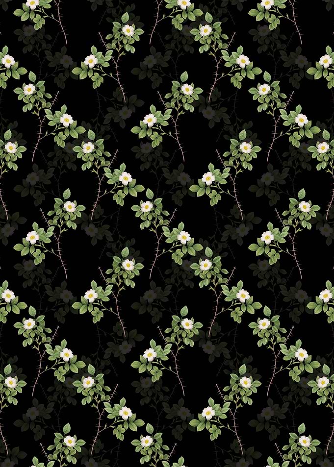 Spiny Rose of Dematra