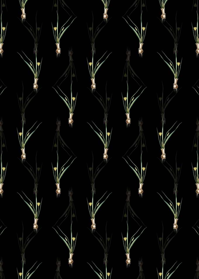 Floral Weevil wort Pattern