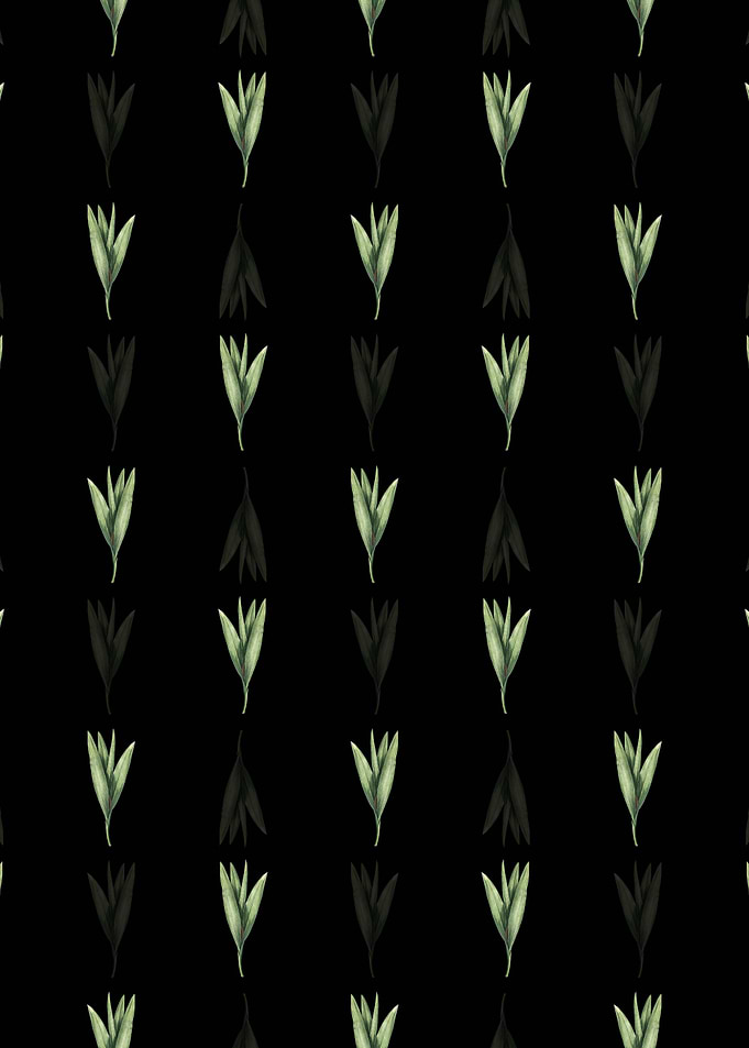 Autumn Crocus Pattern
