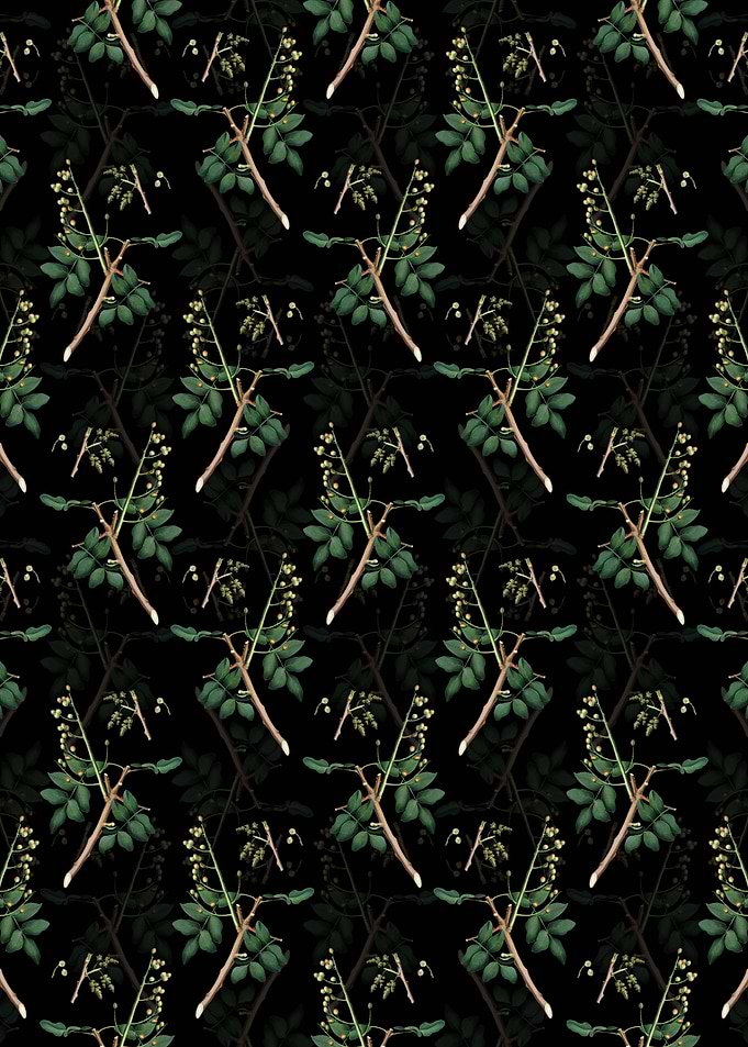 Floral Pistachio Pattern