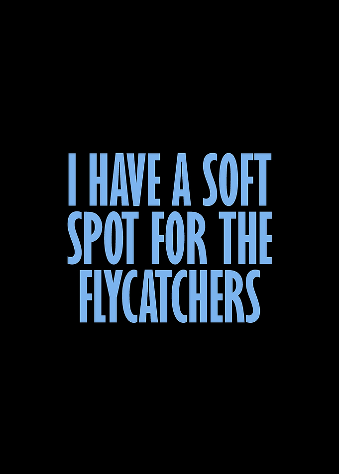 Soft spot for the