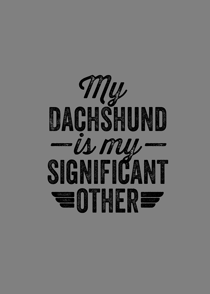 My Deutsch Drahthaar