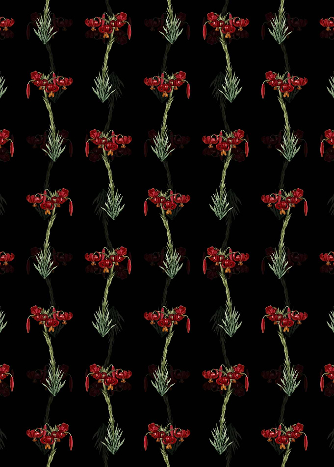 Black Floral Lily Pattern