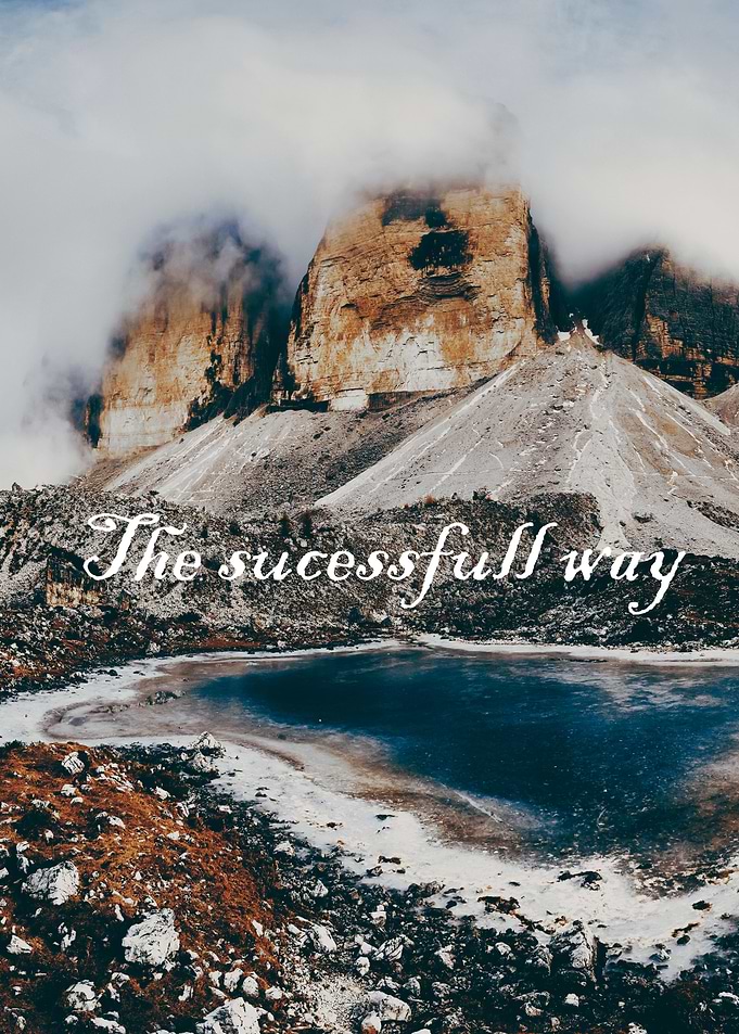 The sucessfull way