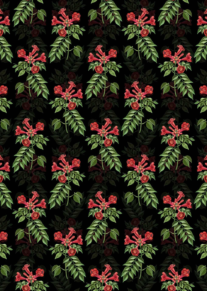 Black Trumpet Vine Pattern