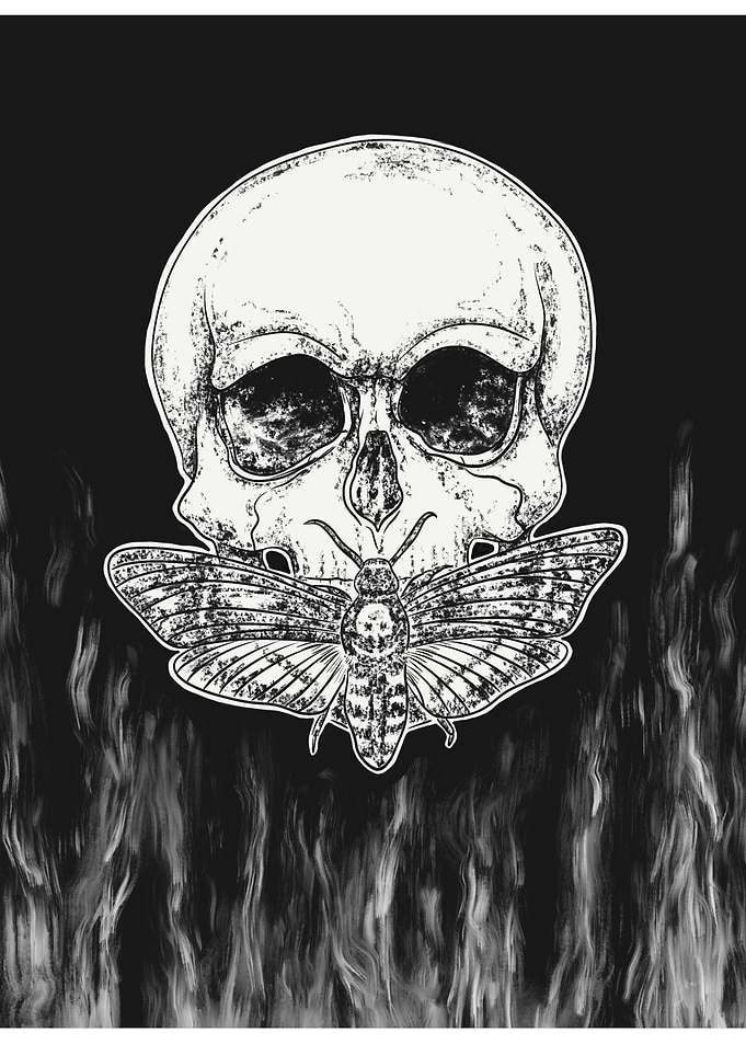 Death face hawkmoth