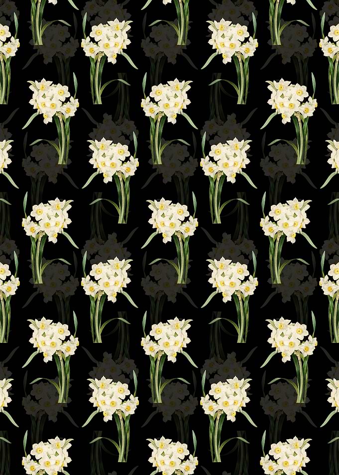 Bunch Flowered Daffodil